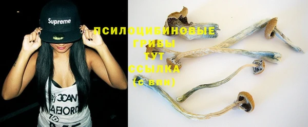 бошки Гусиноозёрск