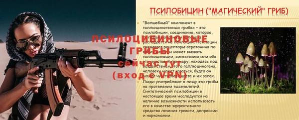скорость Гусь-Хрустальный