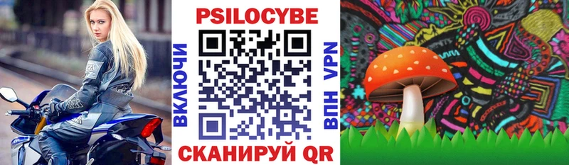 Галлюциногенные грибы MAGIC MUSHROOMS это состав Чегем