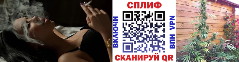 закладки  Чегем  Канабис тримм 